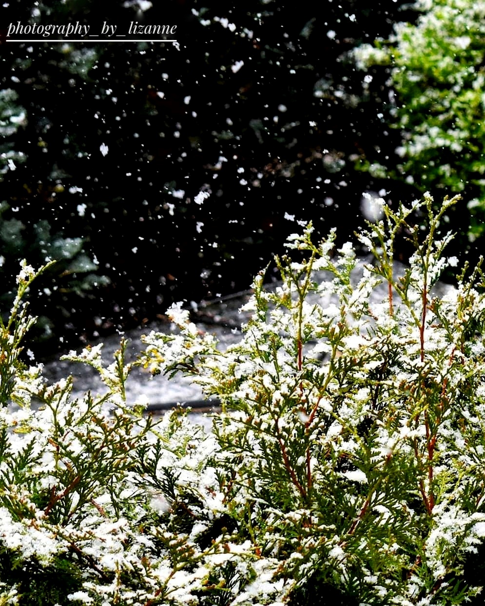 Snow flurries